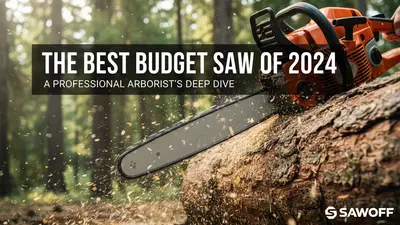 The Best Budget Saw of 2024: A Professional Arboristâs Deep Dive into Value vs. Power