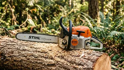 Stihl Chainsaws Ultimate Guide: Every Model, System & Buying Decision Explained